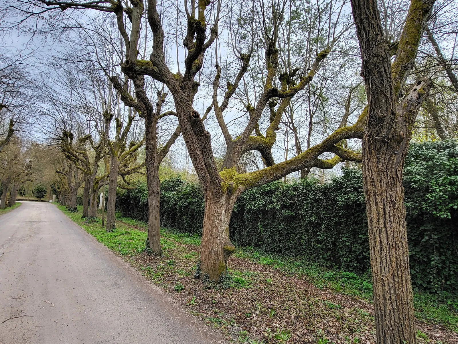 Вид на фасад аббатства Прюфенинг