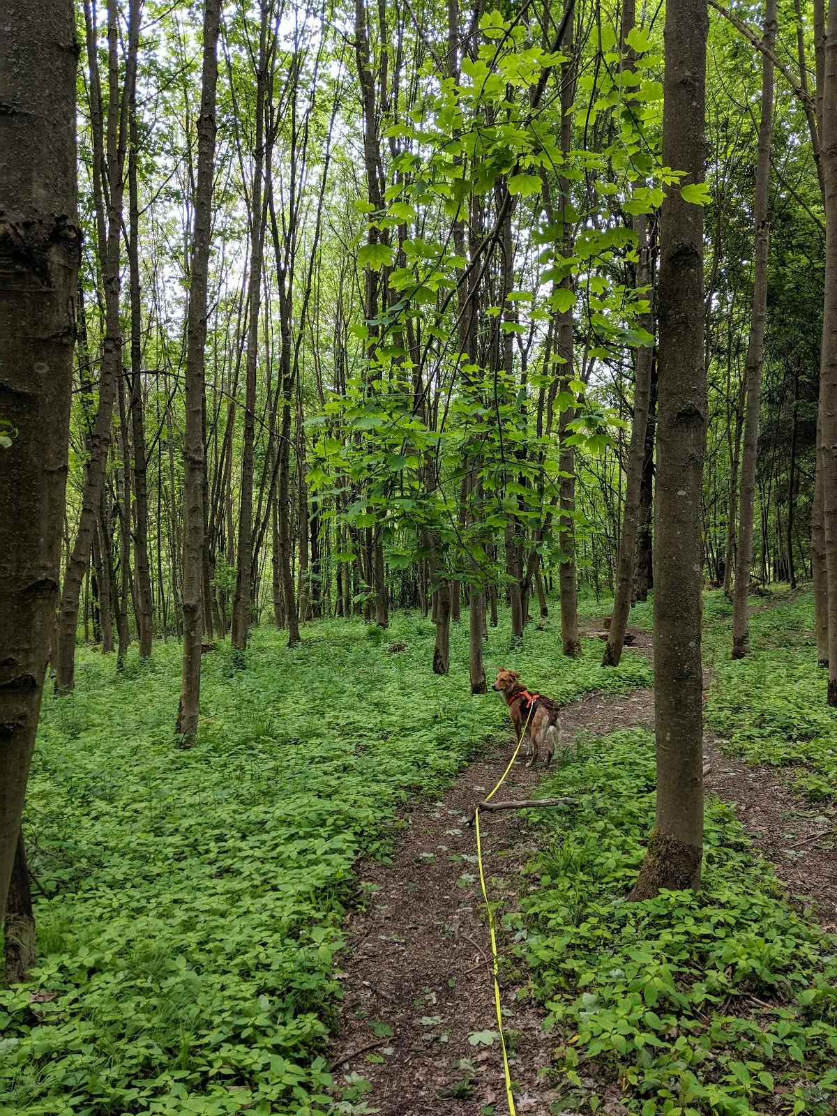 Вид на фасад аббатства Прюфенинг