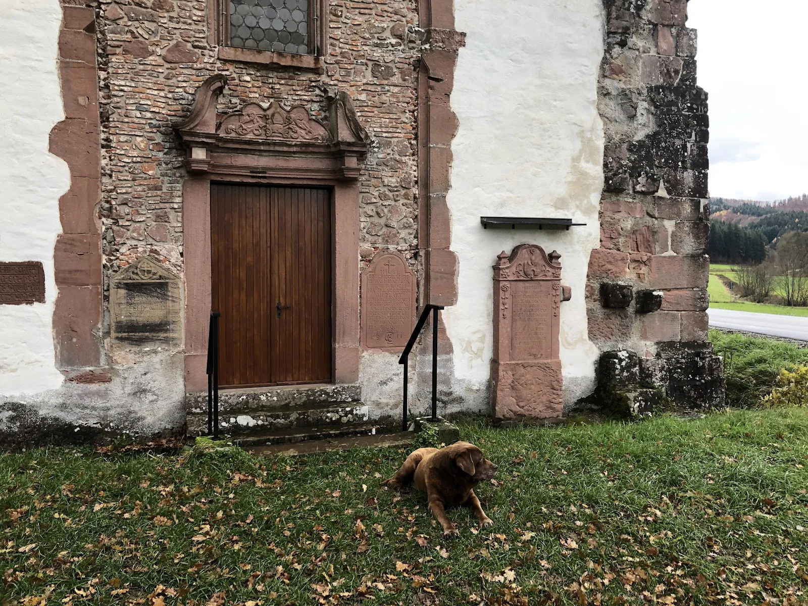 Руины аббатства Тенненбах на фоне зелени