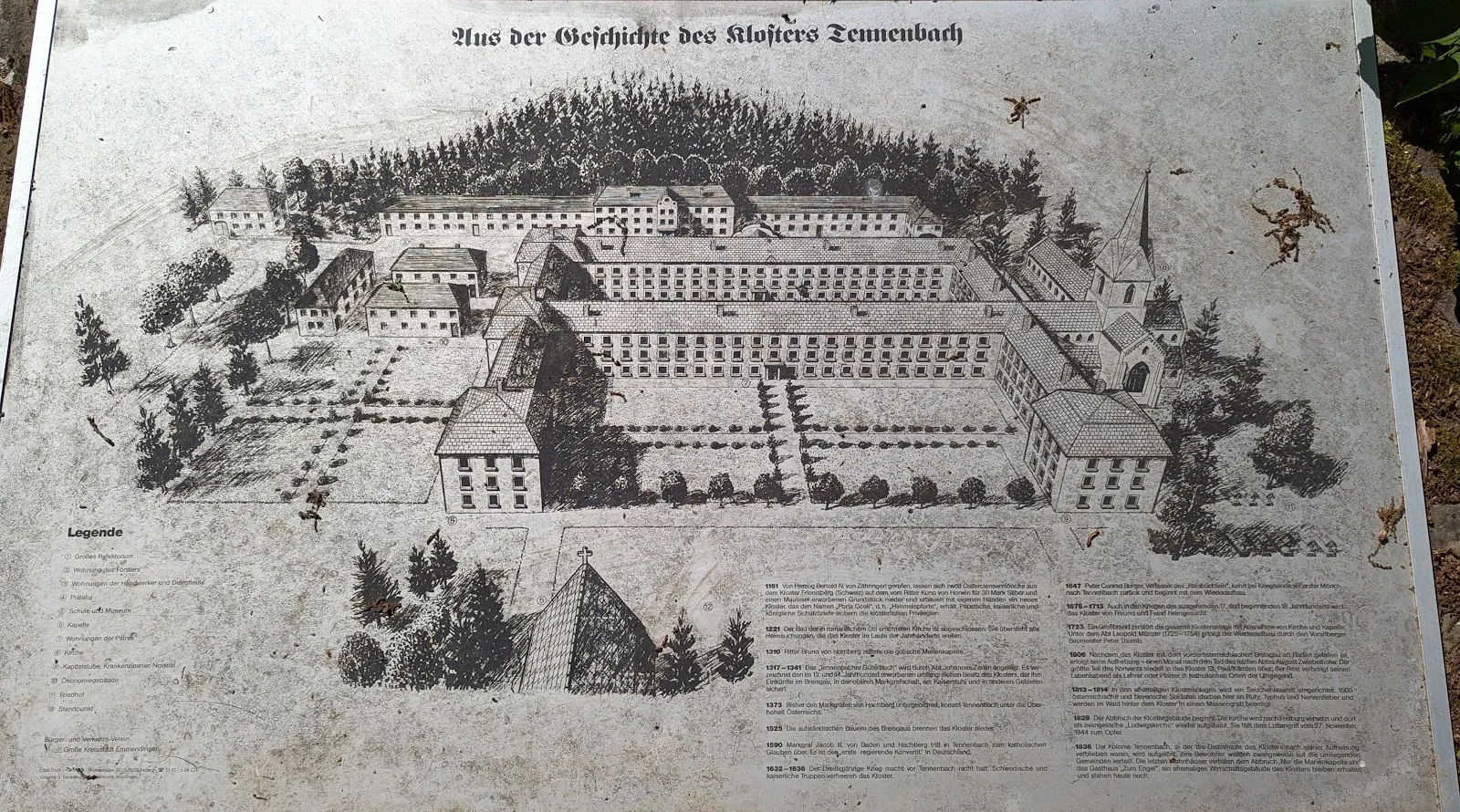 Руины аббатства Тенненбах на фоне зелени
