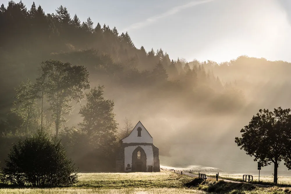 Руины аббатства Тенненбах на фоне зелени