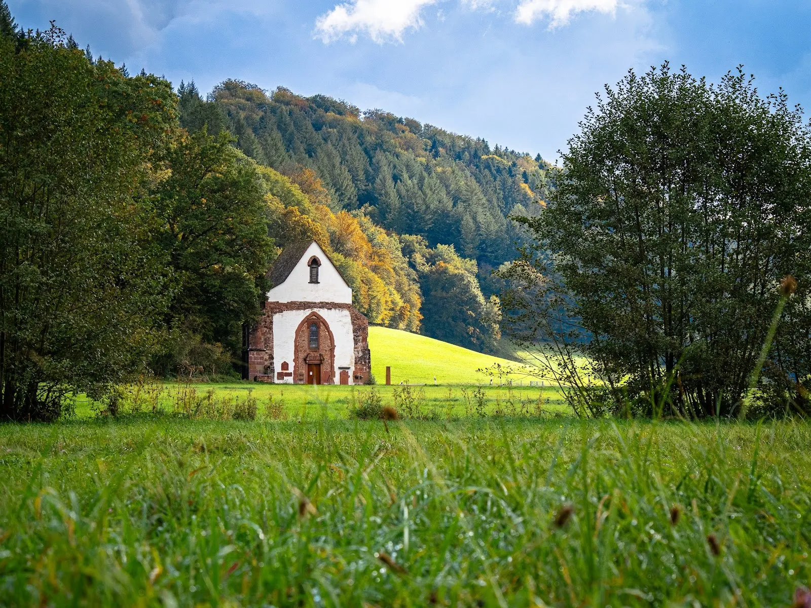 Руины аббатства Тенненбах на фоне зелени