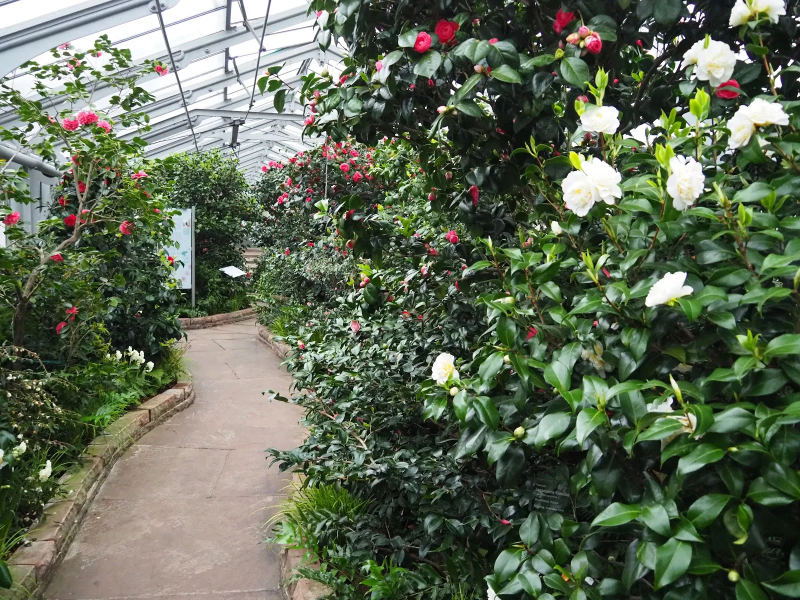 Ацаленхаус