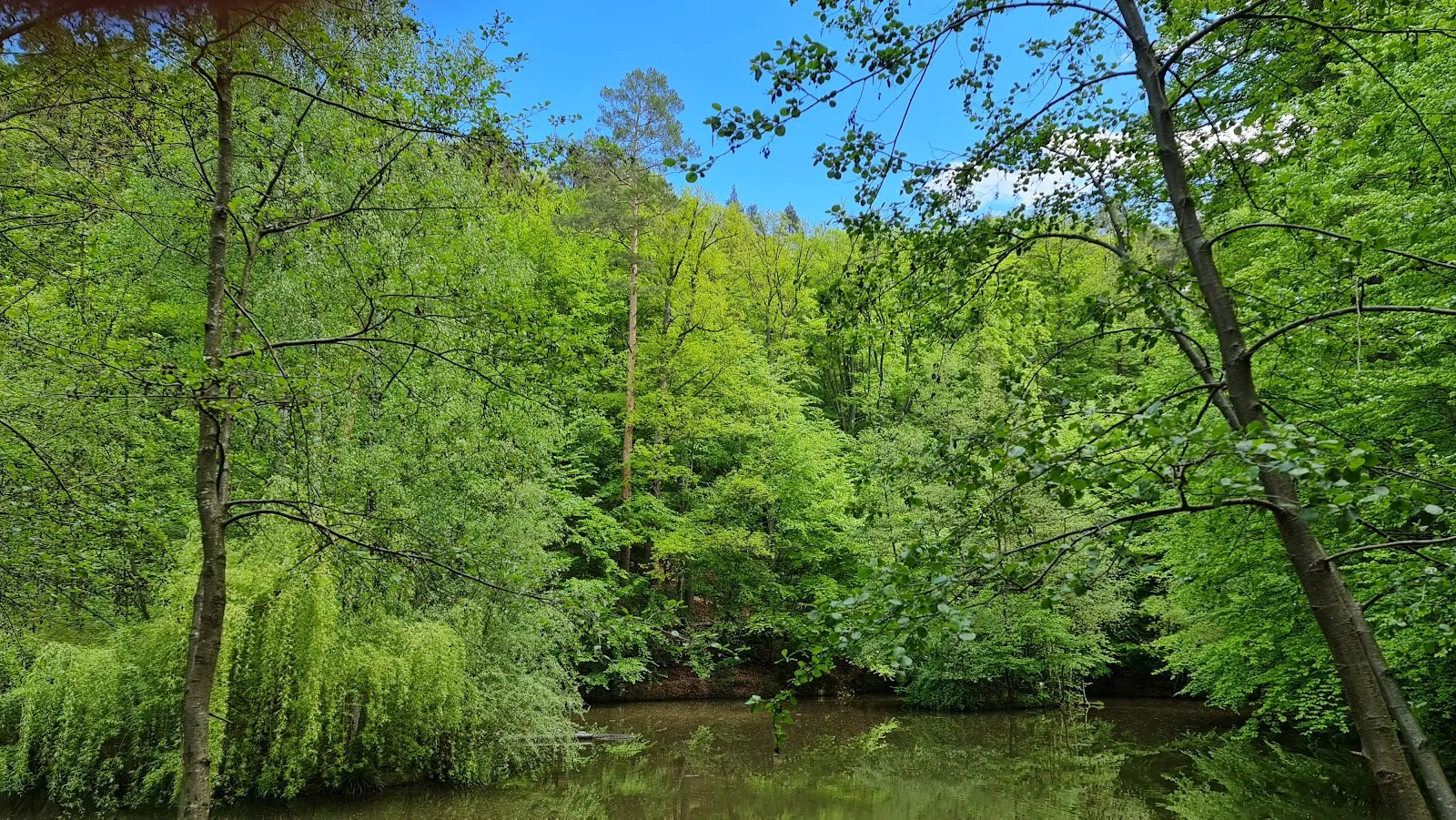 Вид на озеро Айхензее в солнечный день