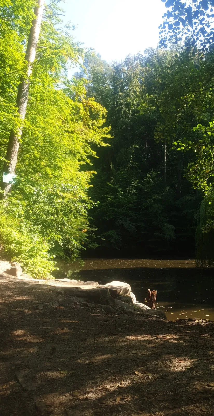 Вид на озеро Айхензее в солнечный день
