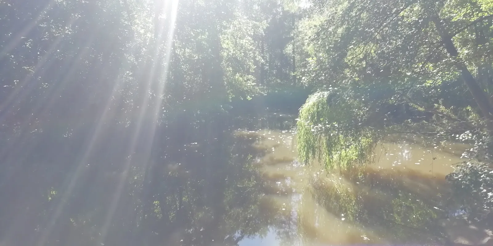 Вид на озеро Айхензее в солнечный день