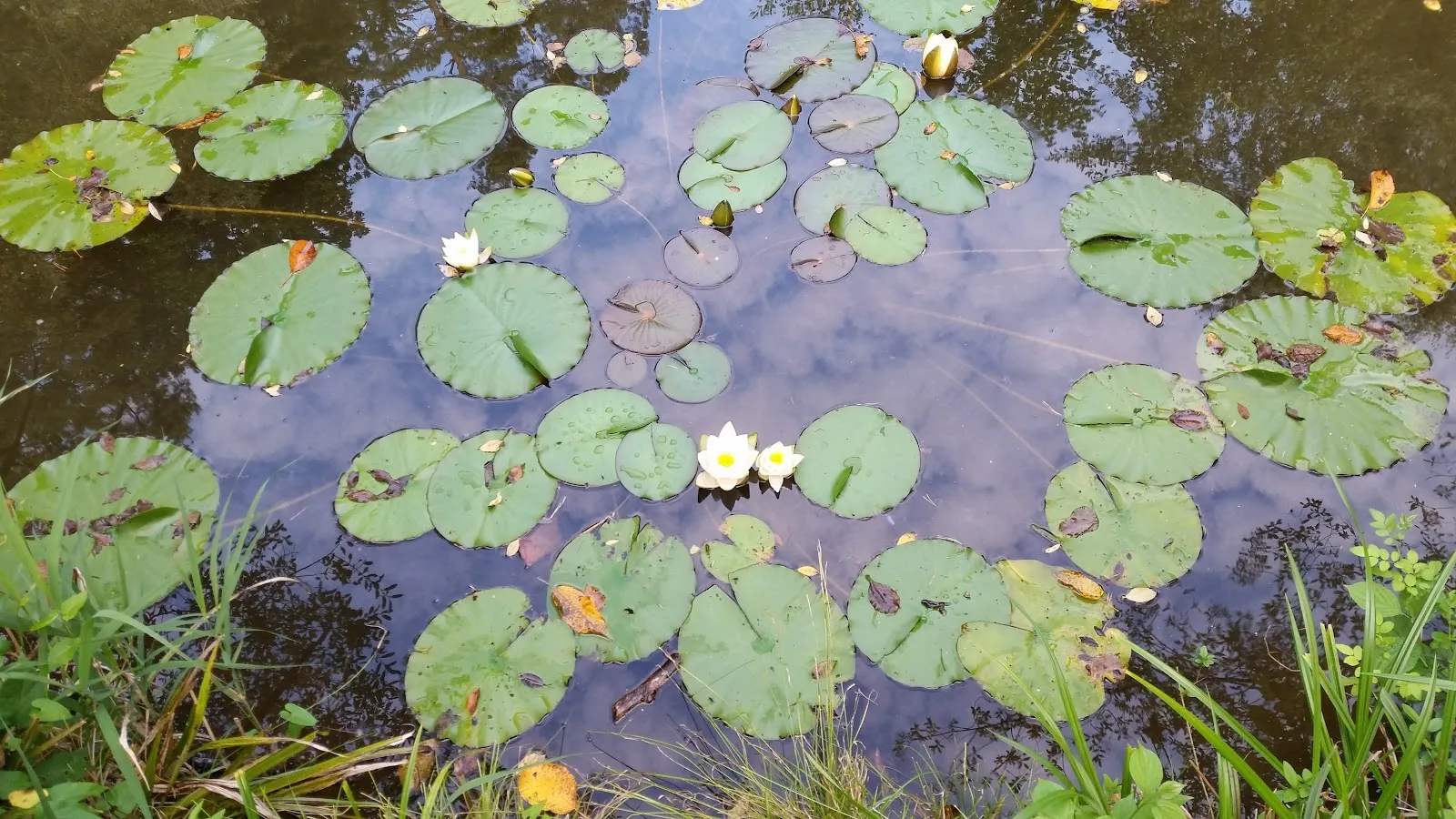 Вид на озеро Айхензее в солнечный день