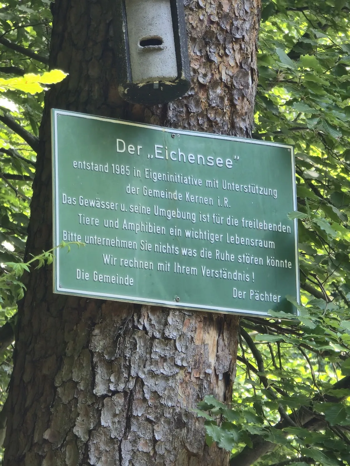 Вид на озеро Айхензее в солнечный день