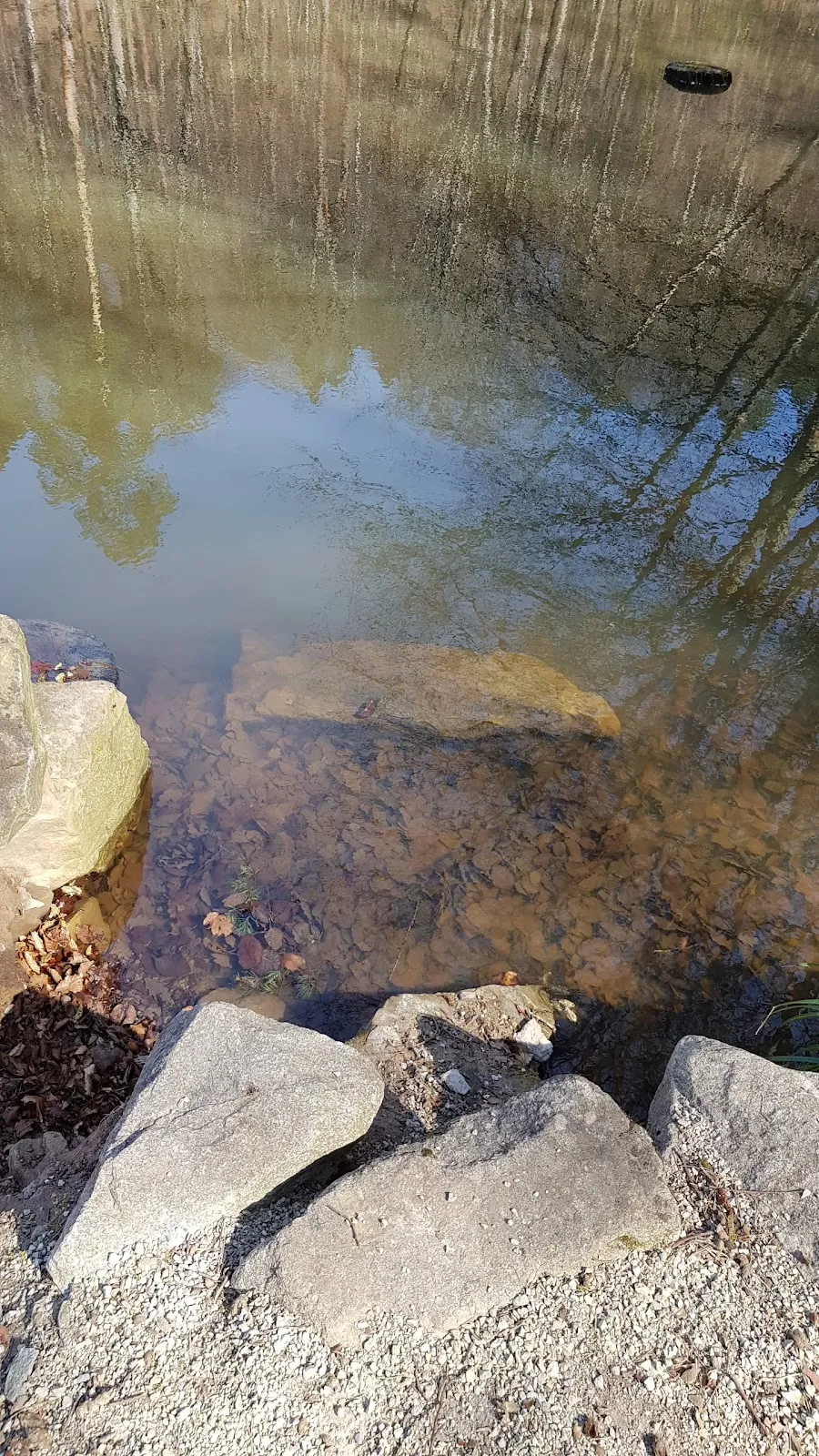 Вид на озеро Айхензее в солнечный день