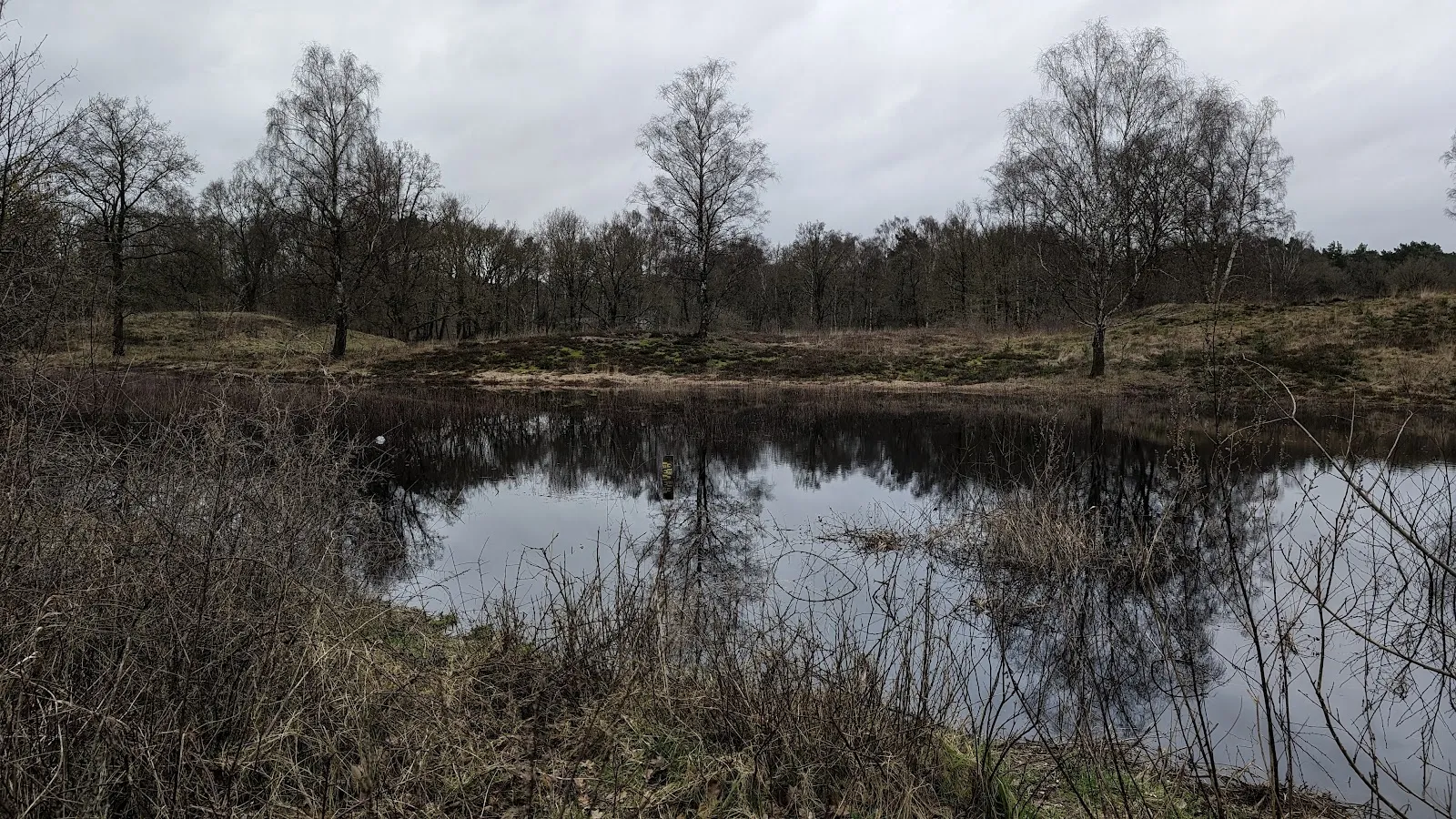 Айсполь / Зандвеен