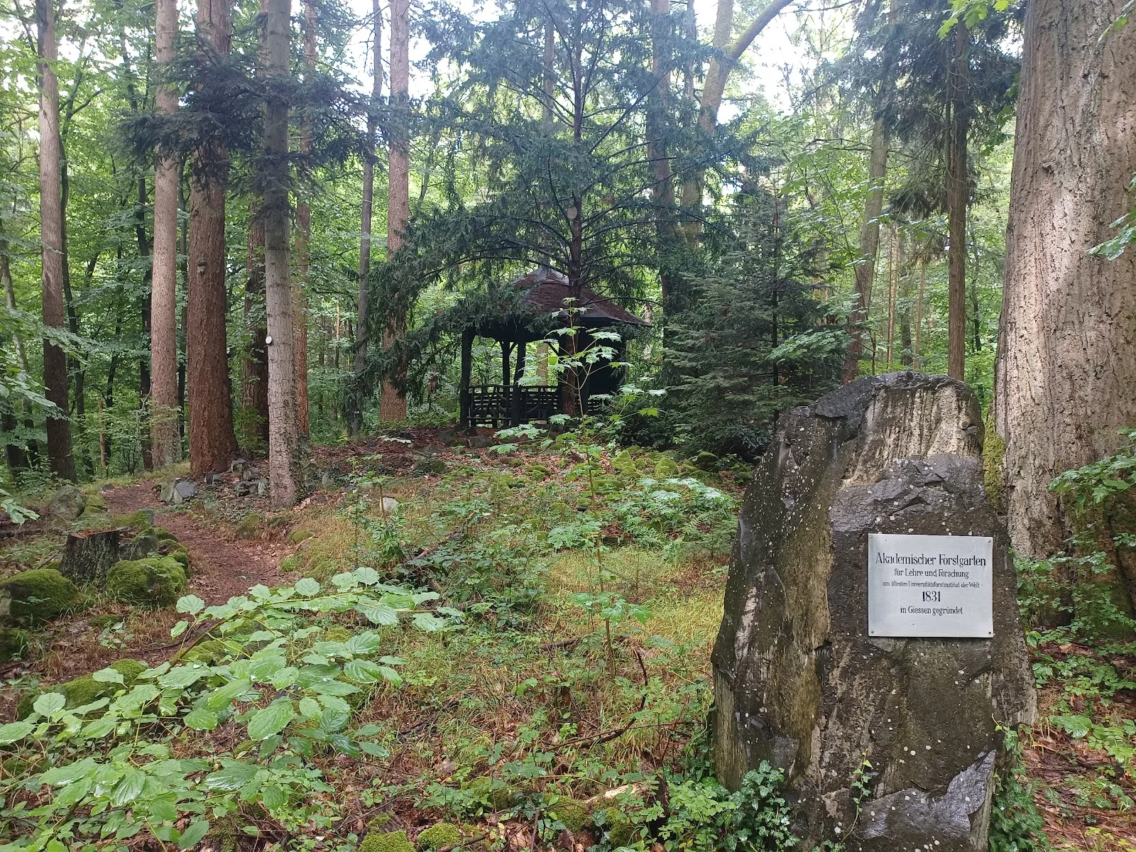 Академический лесной сад Гиссен