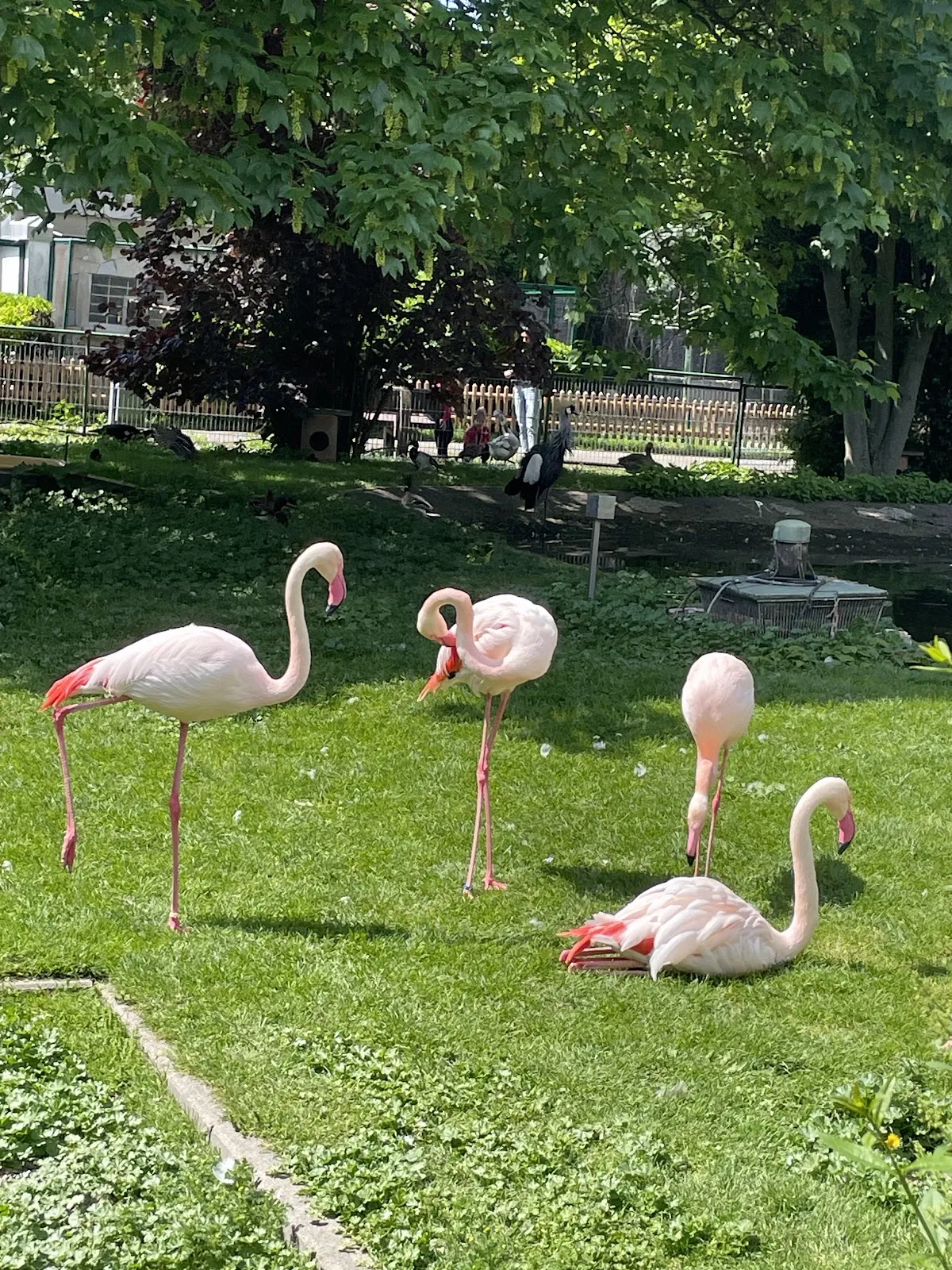 Экспозиция аквариума с разнообразными рыбами