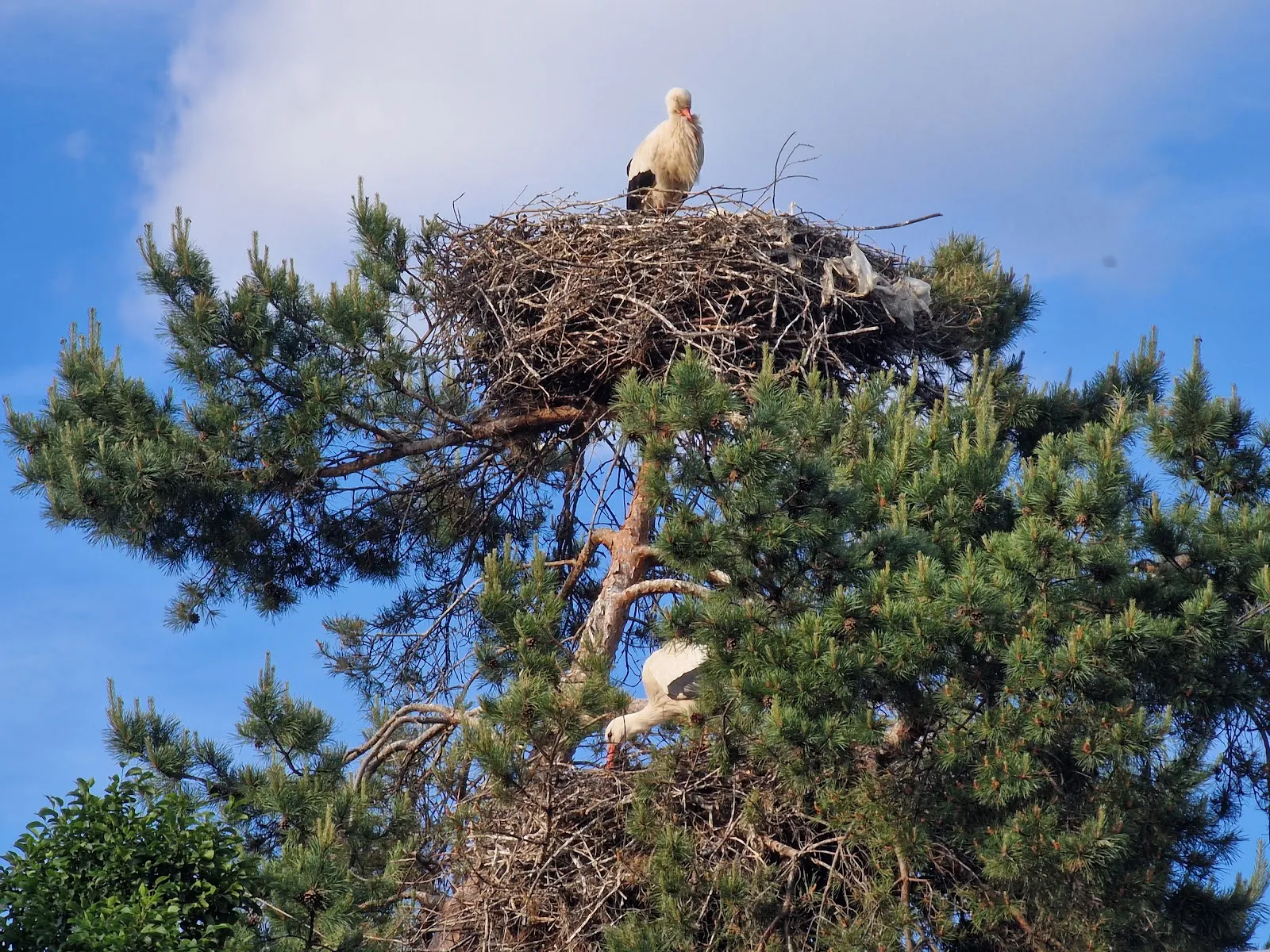 Экспозиция аквариума с разнообразными рыбами