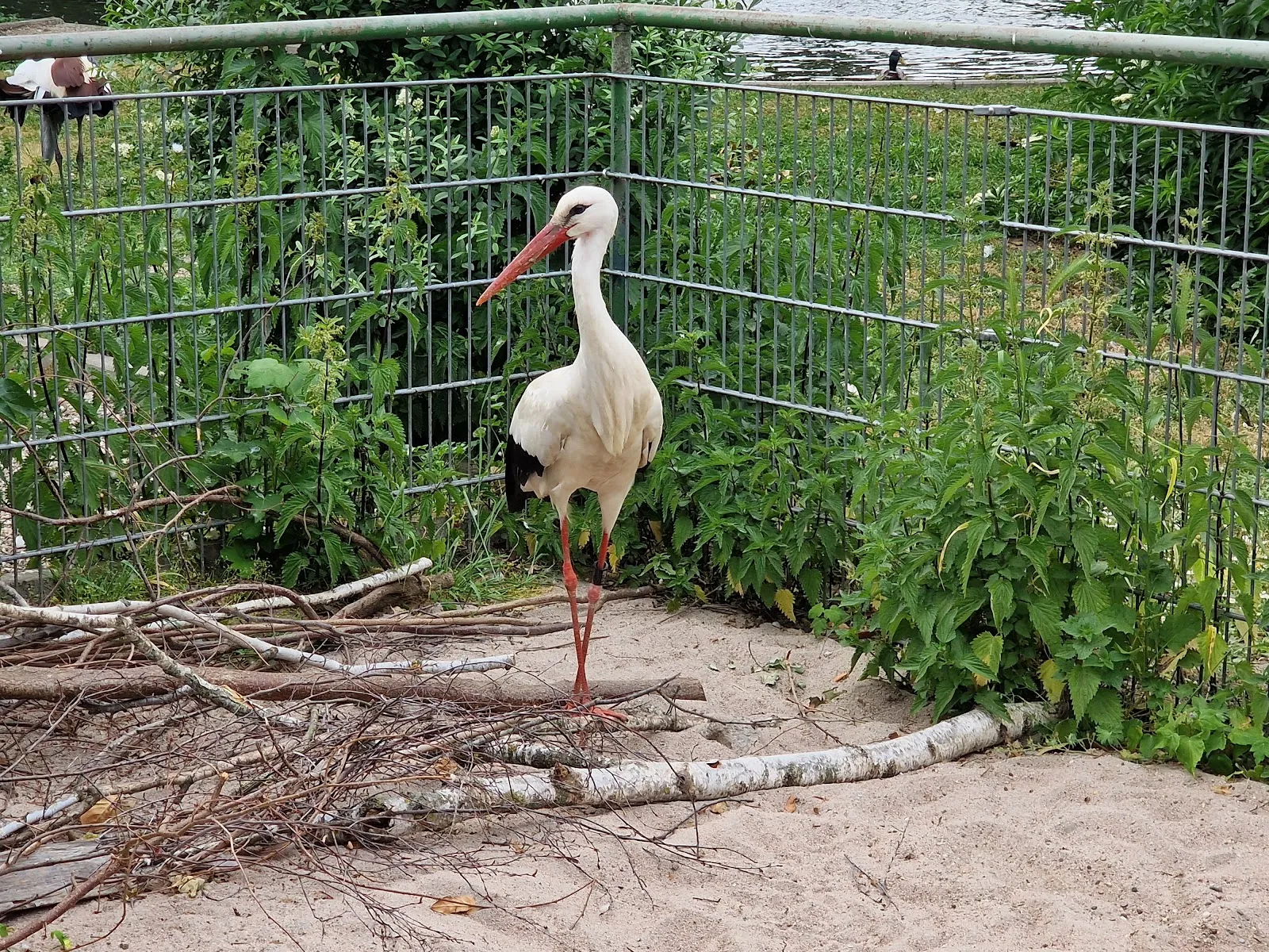 Экспозиция аквариума с разнообразными рыбами