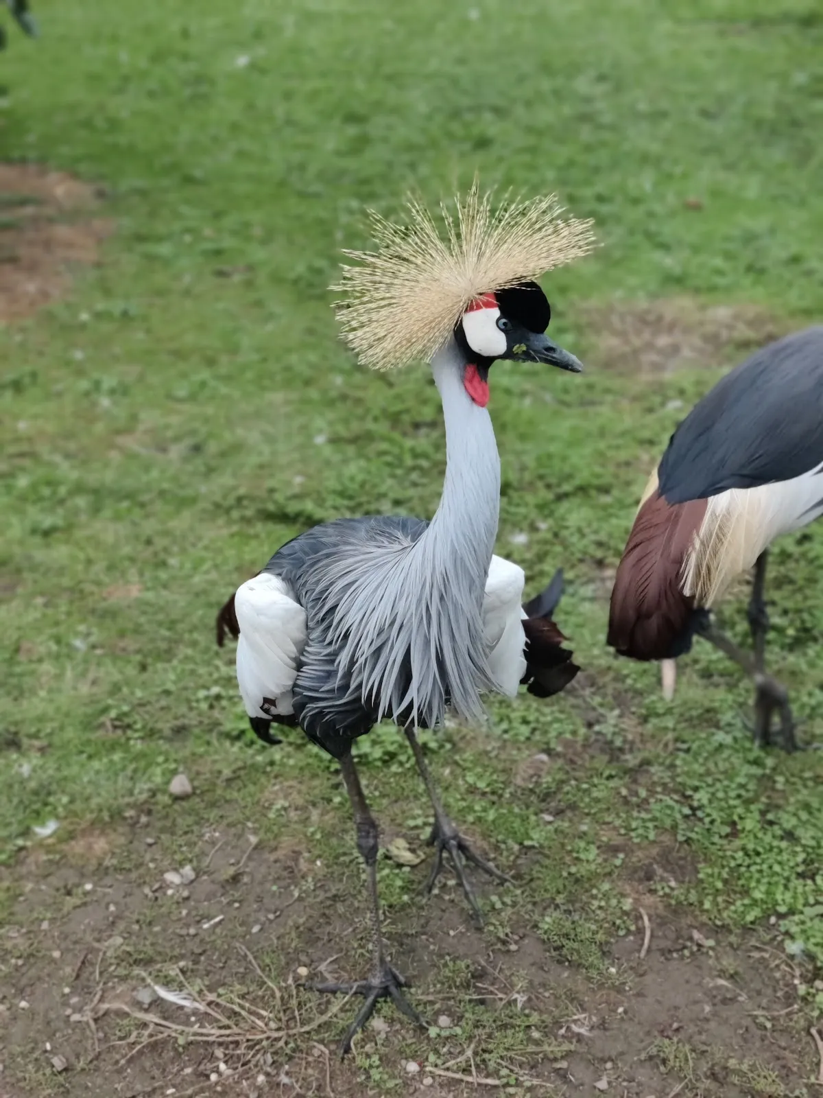 Экспозиция аквариума с разнообразными рыбами