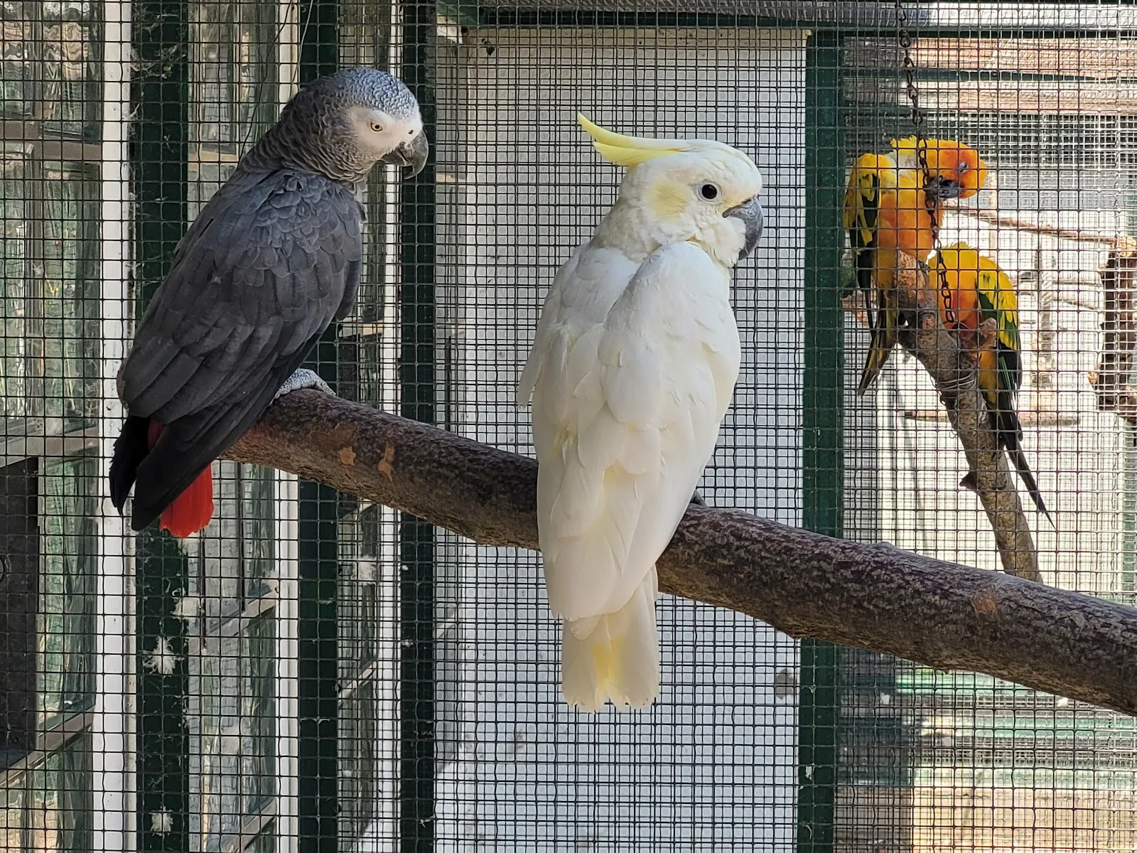 Экспозиция аквариума с разнообразными рыбами