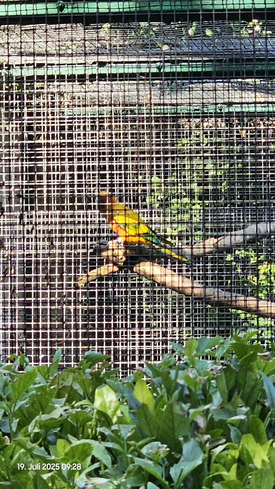 Экспозиция аквариума с разнообразными рыбами