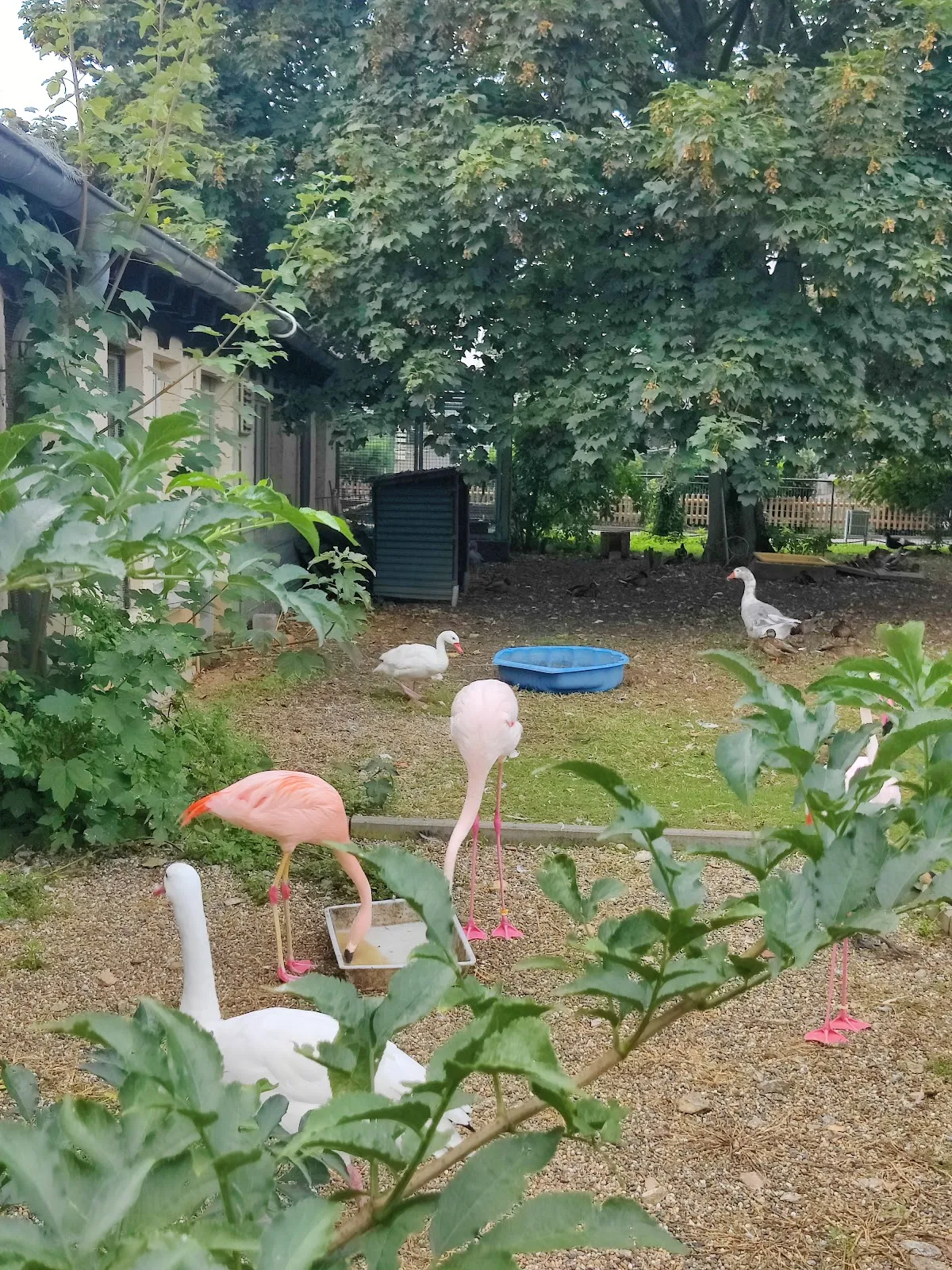 Экспозиция аквариума с разнообразными рыбами