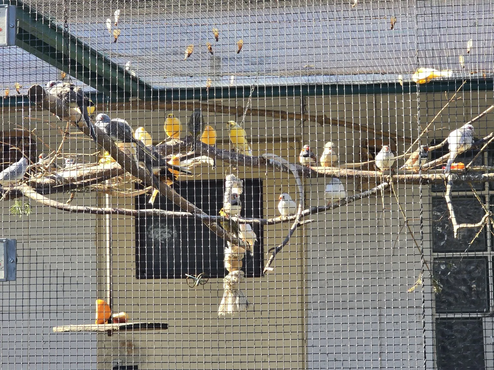 Экспозиция аквариума с разнообразными рыбами