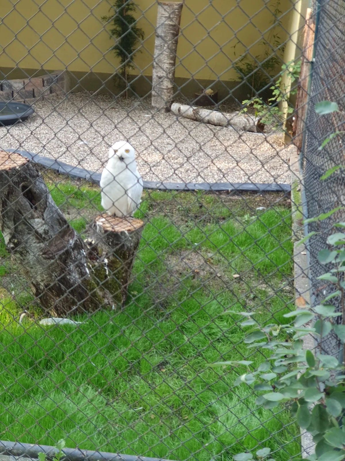 Экспозиция аквариума с разнообразными рыбами