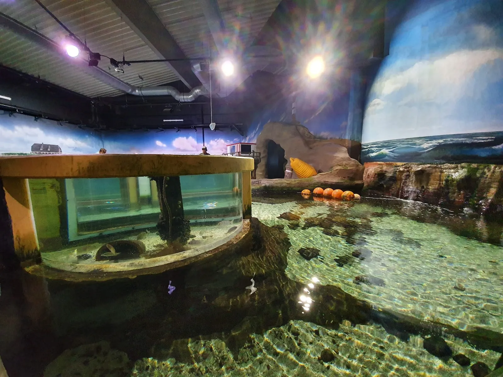 Вид на экспозицию Аквариума Зюльта с различными морскими животными