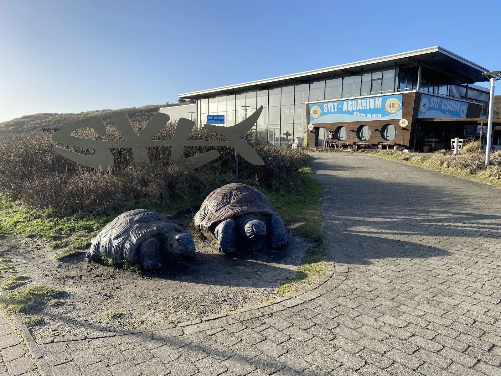 Вид на экспозицию Аквариума Зюльта с различными морскими животными
