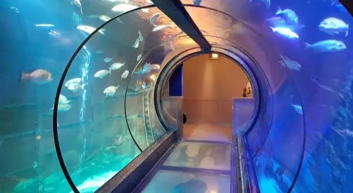 Аквеарум Силайф Кенигсвинтер