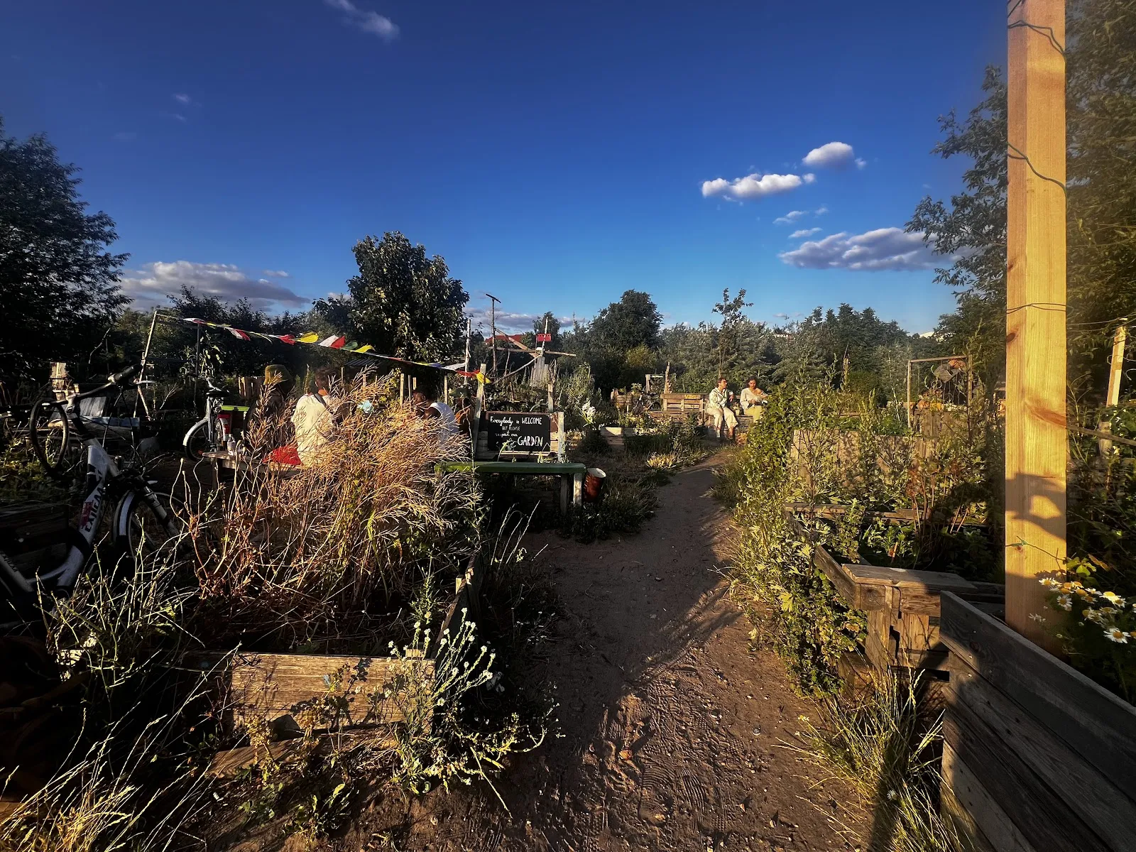 Общественный сад Allmende-Kontor в Берлине