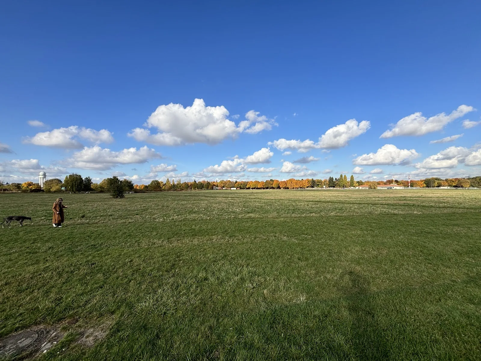 Общественный сад Allmende-Kontor в Берлине