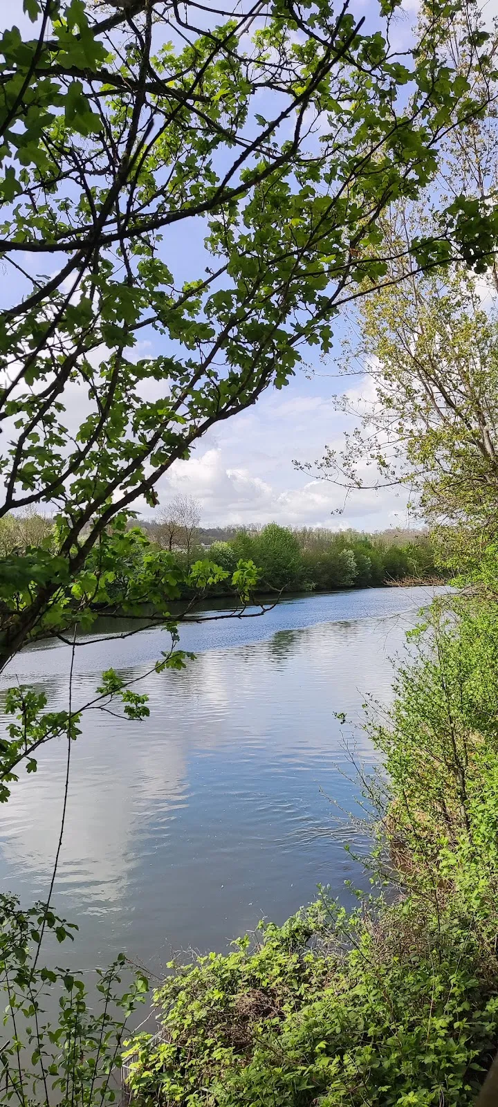 Река Неккар в заповеднике Альтер Неккар, Германия