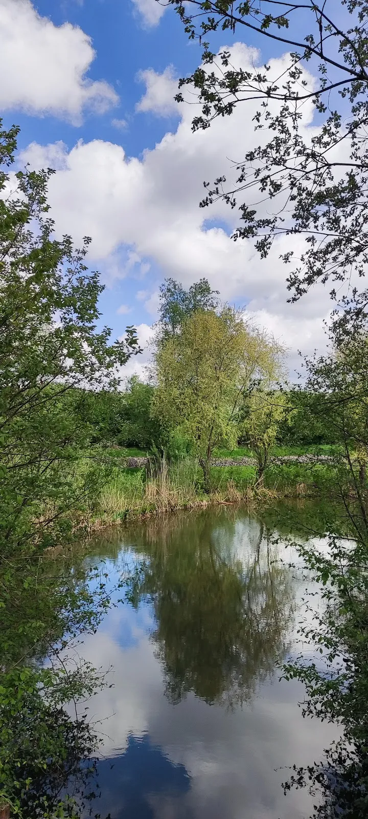 Река Неккар в заповеднике Альтер Неккар, Германия