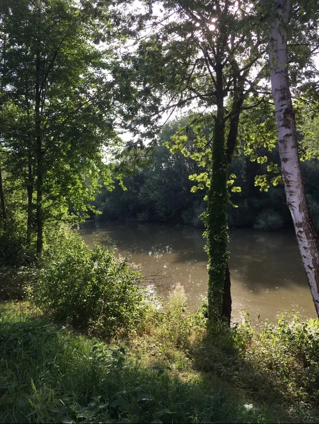 Река Неккар в заповеднике Альтер Неккар, Германия