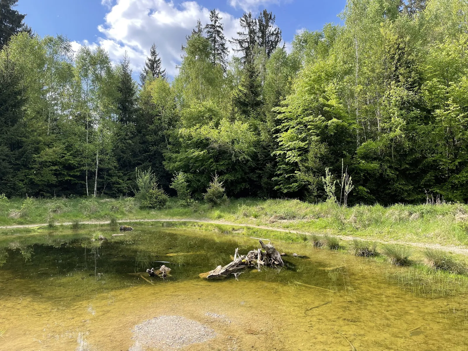 Амфибиентюмпель