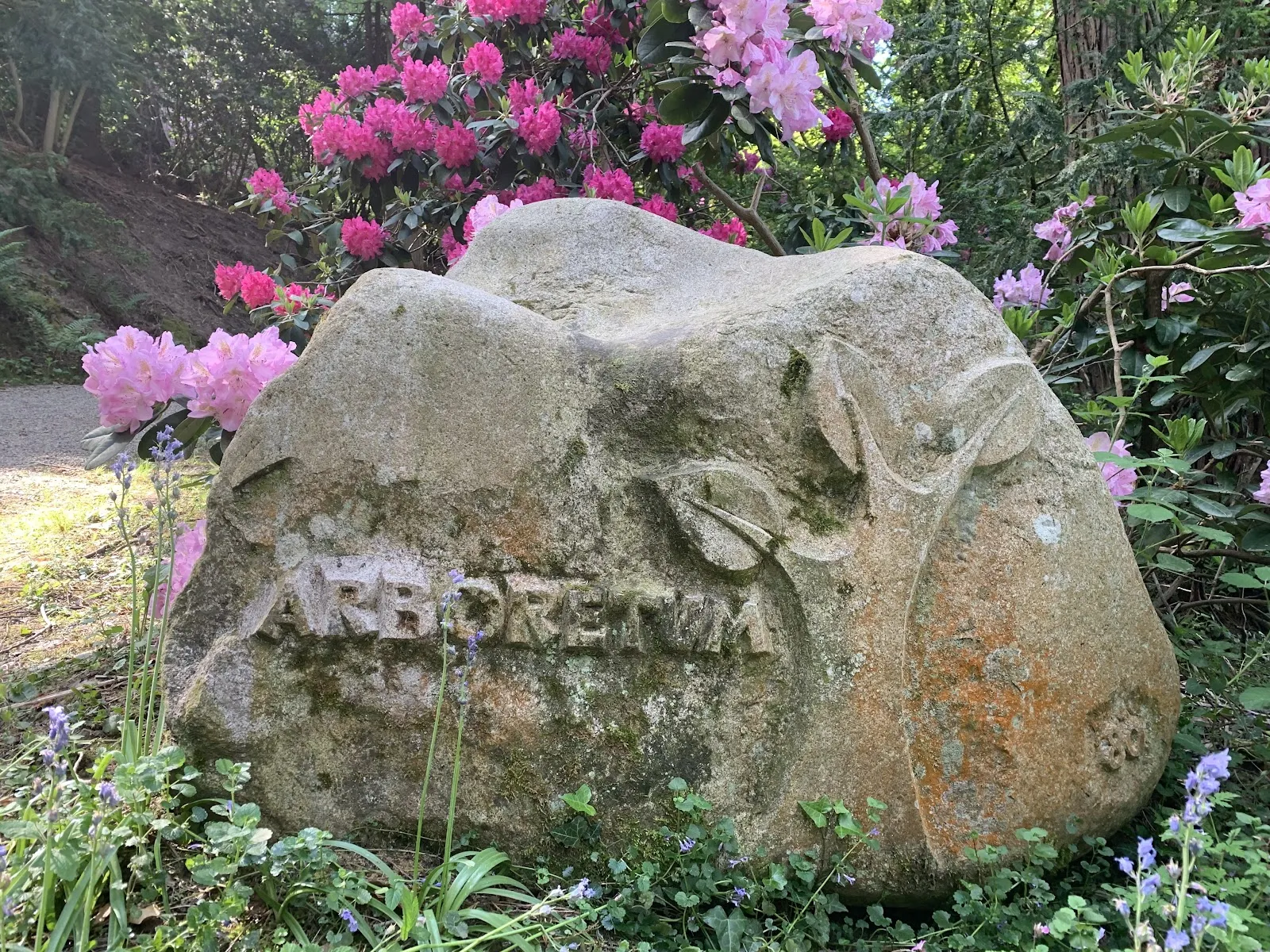 Арборетум Баден-Баден, где представлены разнообразные деревья и кустарники