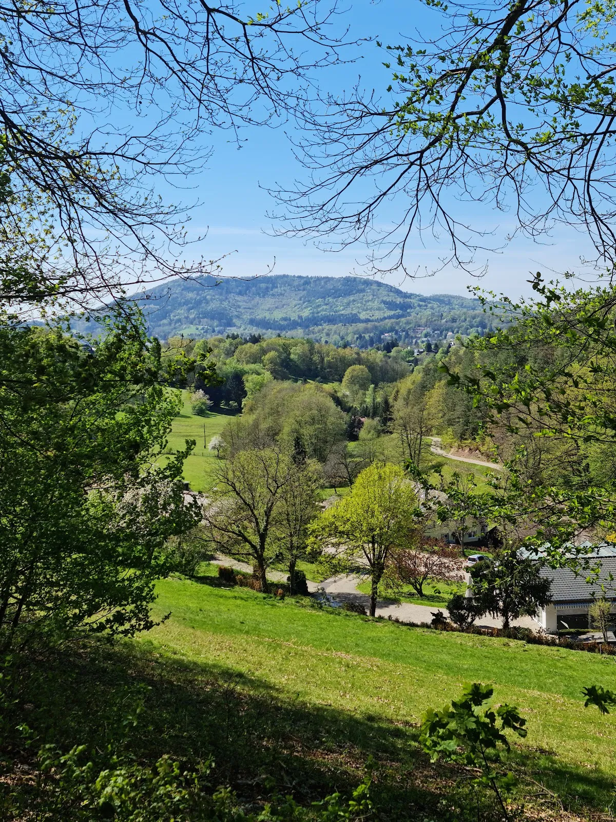 Арборетум Баден-Баден, где представлены разнообразные деревья и кустарники
