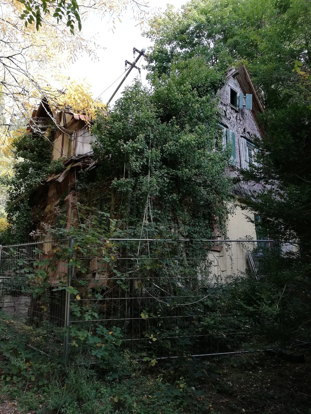 Арборетум Баден-Баден, где представлены разнообразные деревья и кустарники