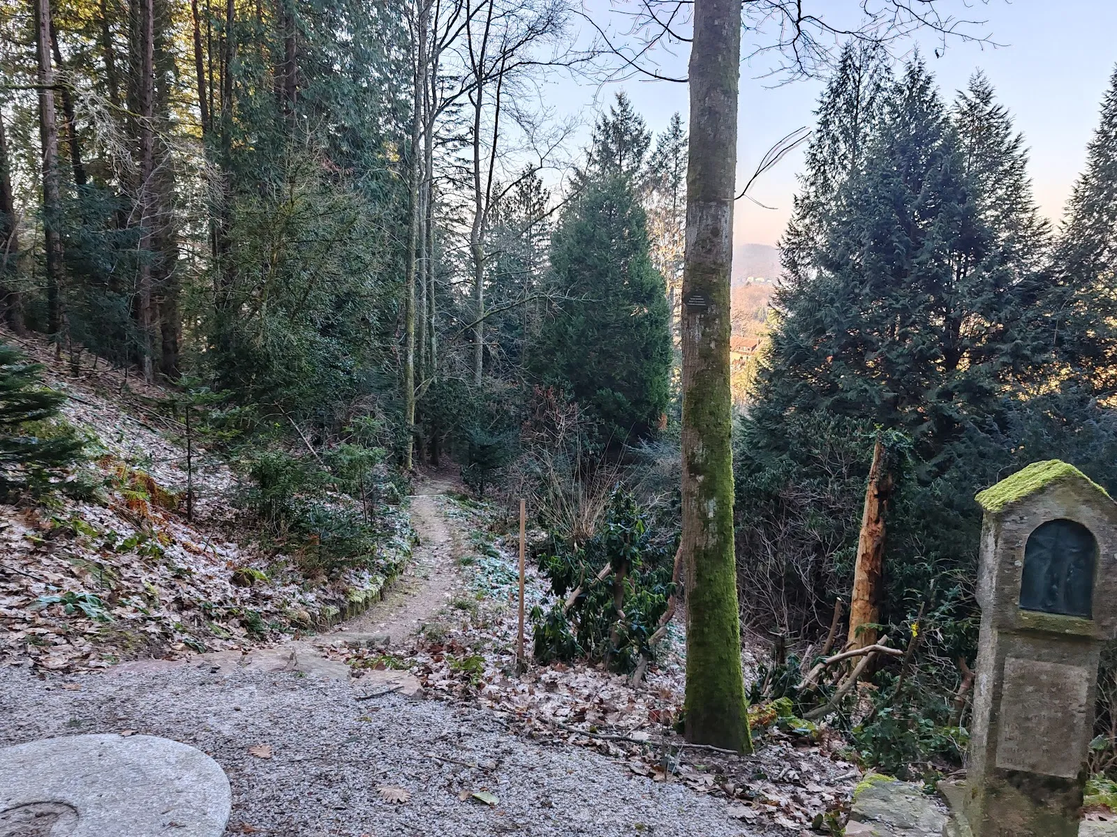 Арборетум Баден-Баден, где представлены разнообразные деревья и кустарники