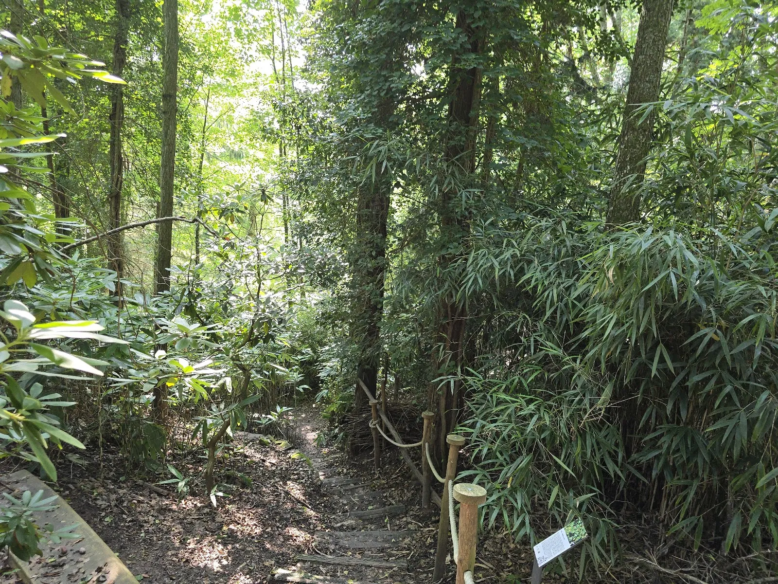 Арборетум Баден-Баден, где представлены разнообразные деревья и кустарники