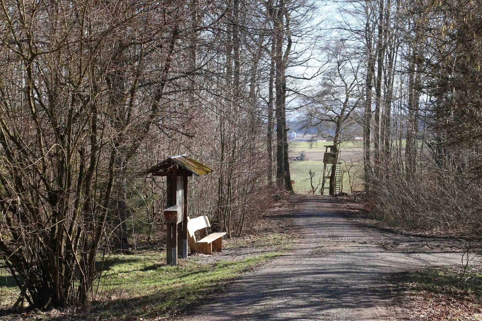 Арборетум города Херренберг