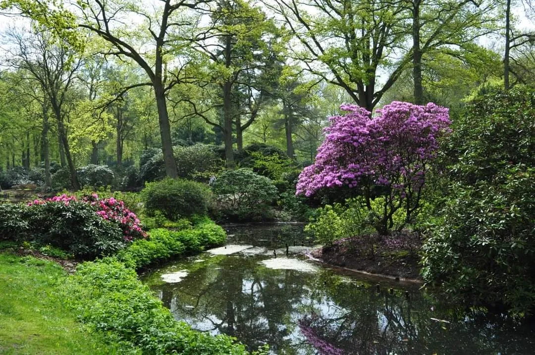 Бронзовый Гигант, артиллерийский памятник в парке Бремена