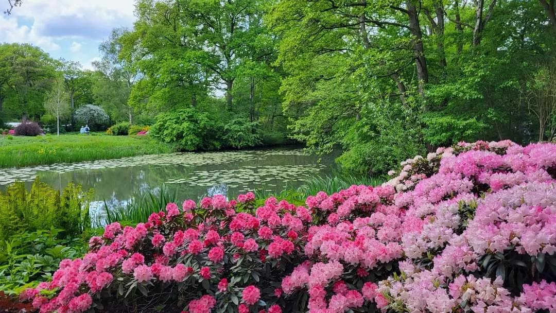 Бронзовый Гигант, артиллерийский памятник в парке Бремена