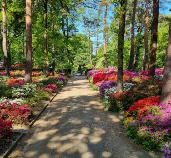 Бронзовый Гигант, артиллерийский памятник в парке Бремена