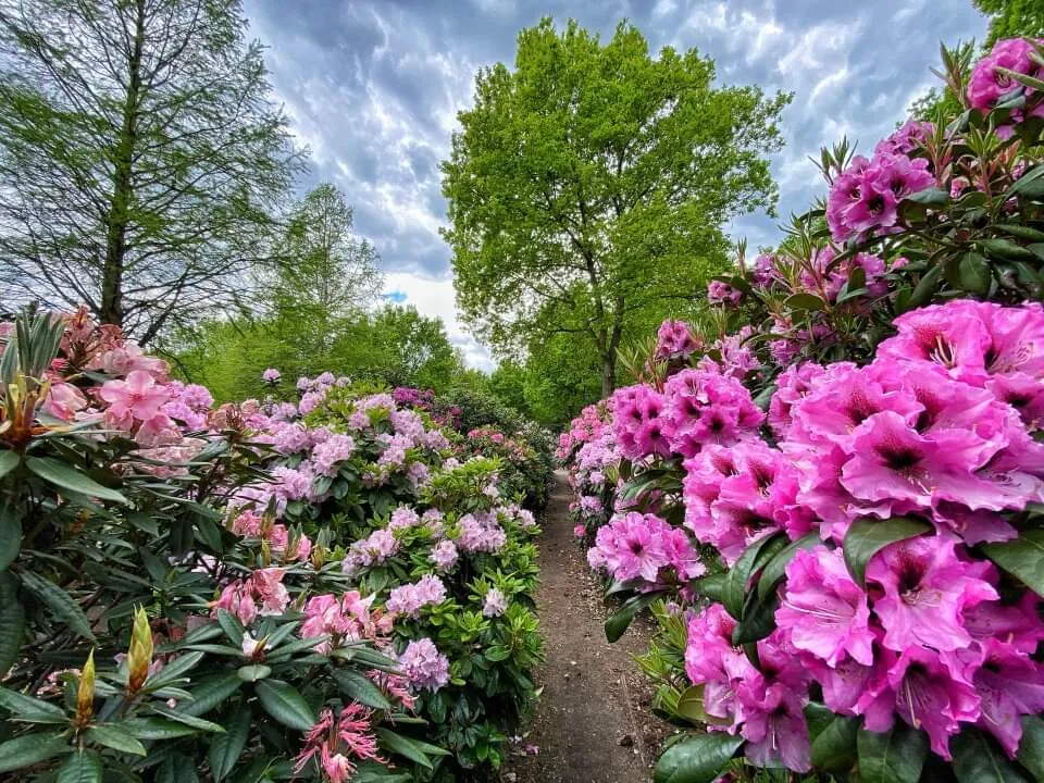 Бронзовый Гигант, артиллерийский памятник в парке Бремена