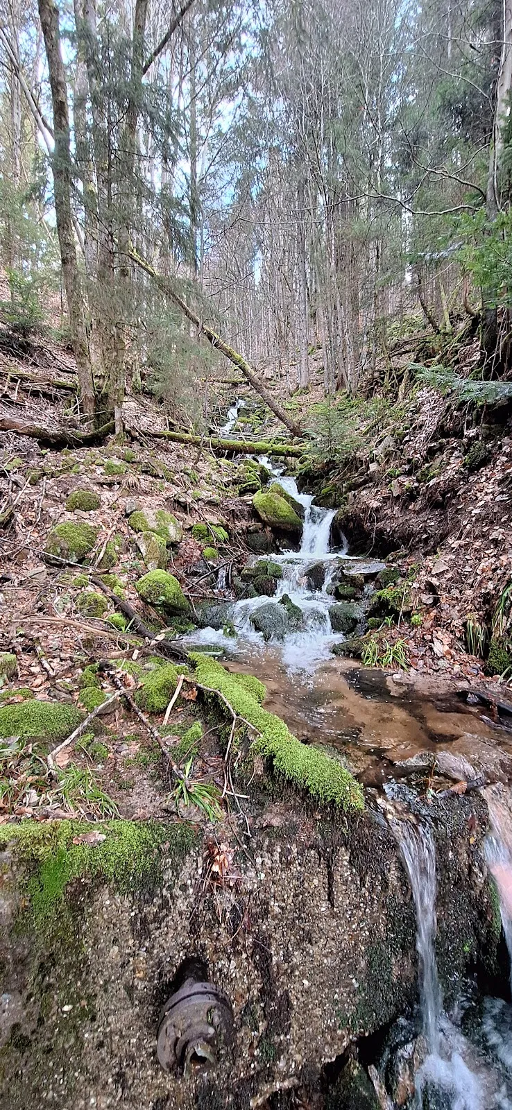 Ассоциация поддержки вольерного хозяйства Санкт-Блазиен