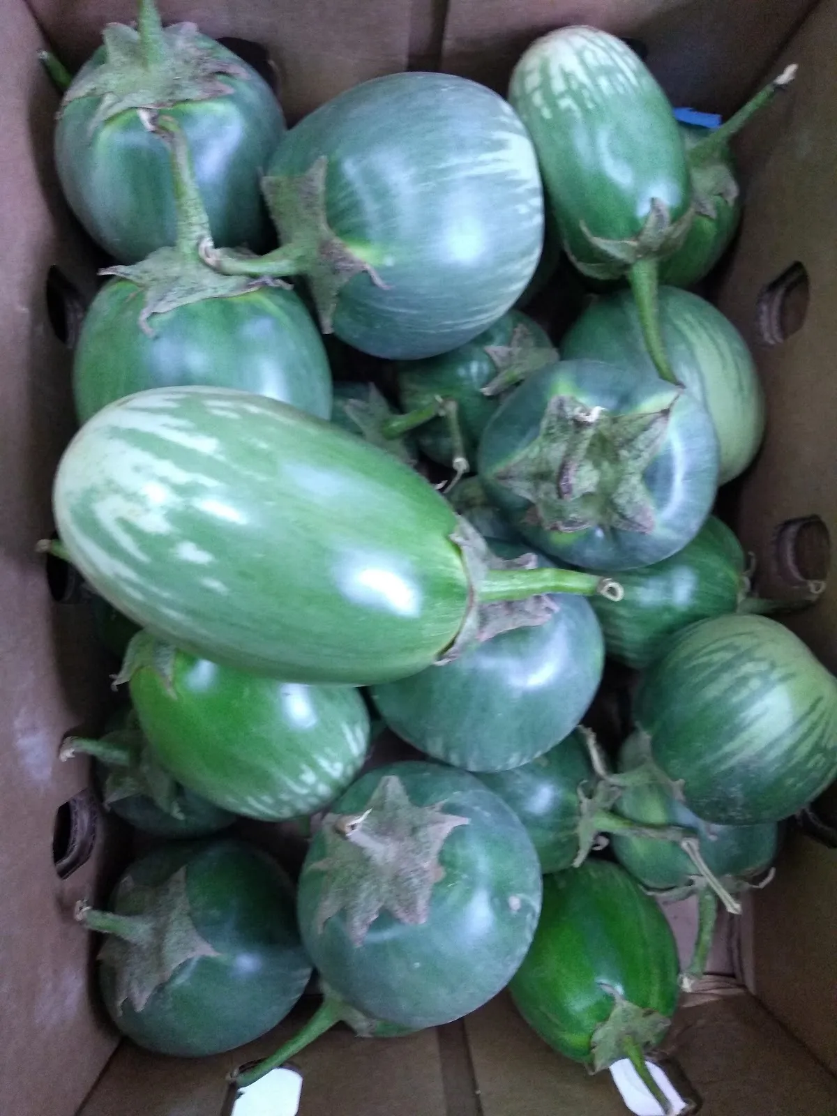 Рынок Бабу Базар в Берлине, продукты, восточные сладости