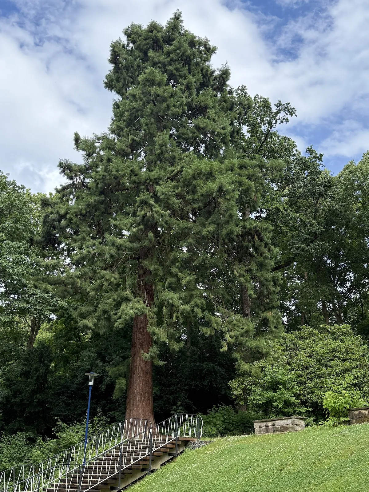 Бад-Вильдунген