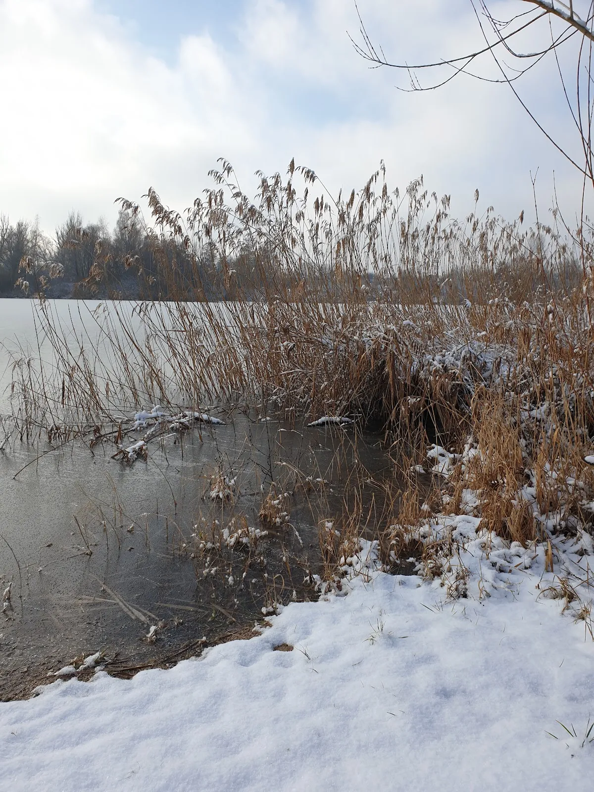 Вид на озеро Баггерзе Бланкенлох