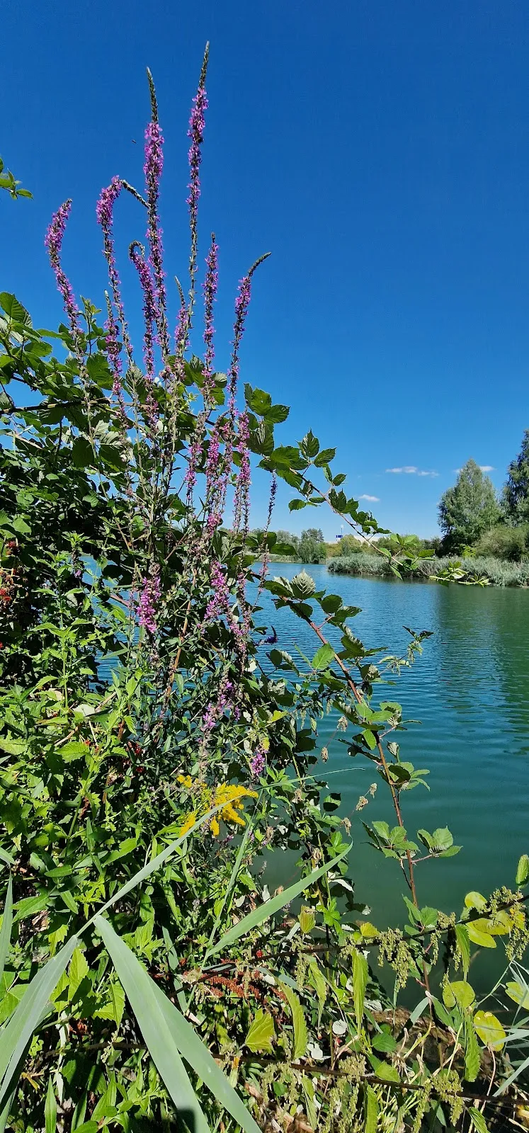 Вид на озеро Баггерзе Бланкенлох