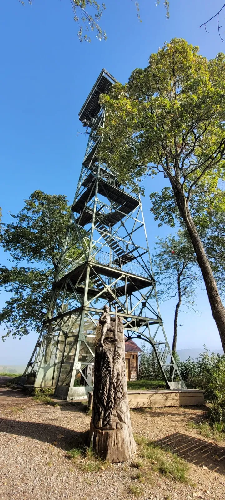 Вид с башни Герренберг на Боденское озеро и Альпы