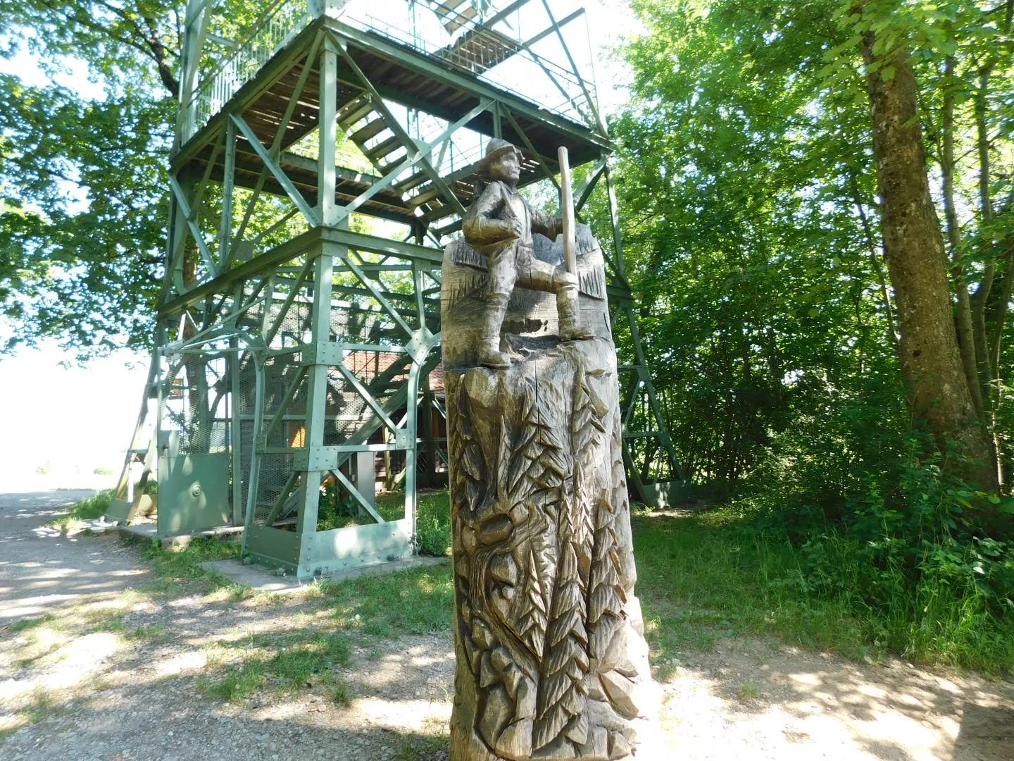 Вид с башни Герренберг на Боденское озеро и Альпы